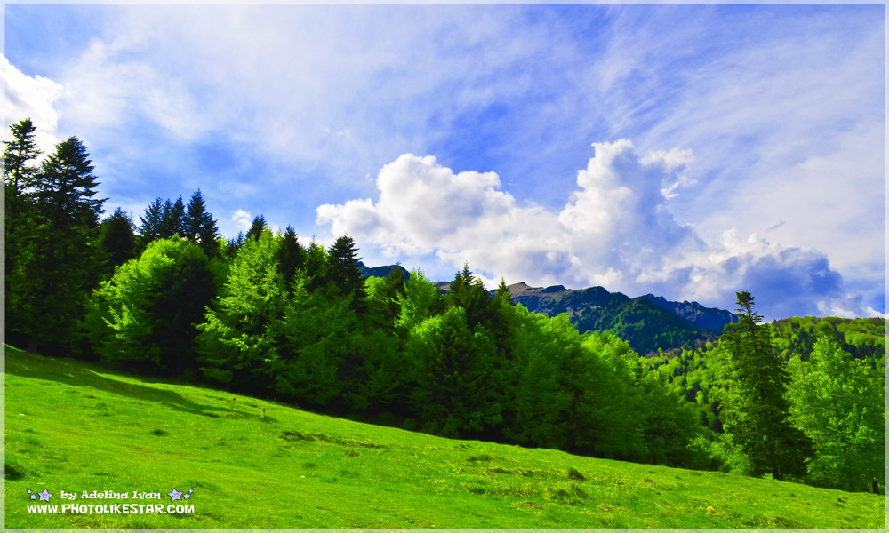 INTENS COLOR 2