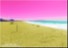 FANTASTIC COLORS 4