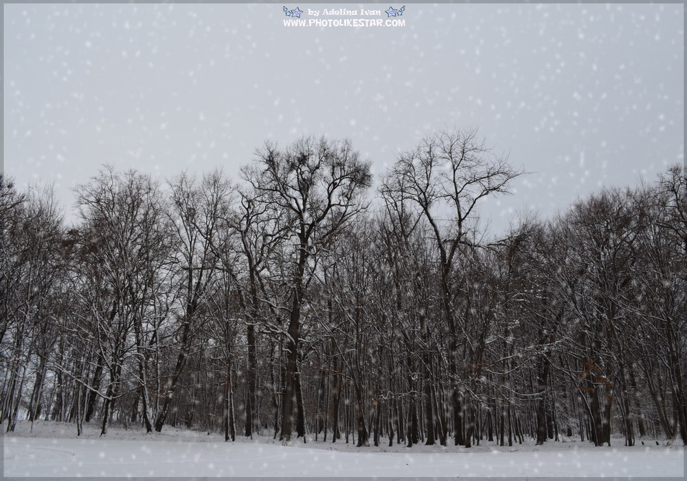 6.SNOWING