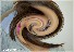 6.TWIRL