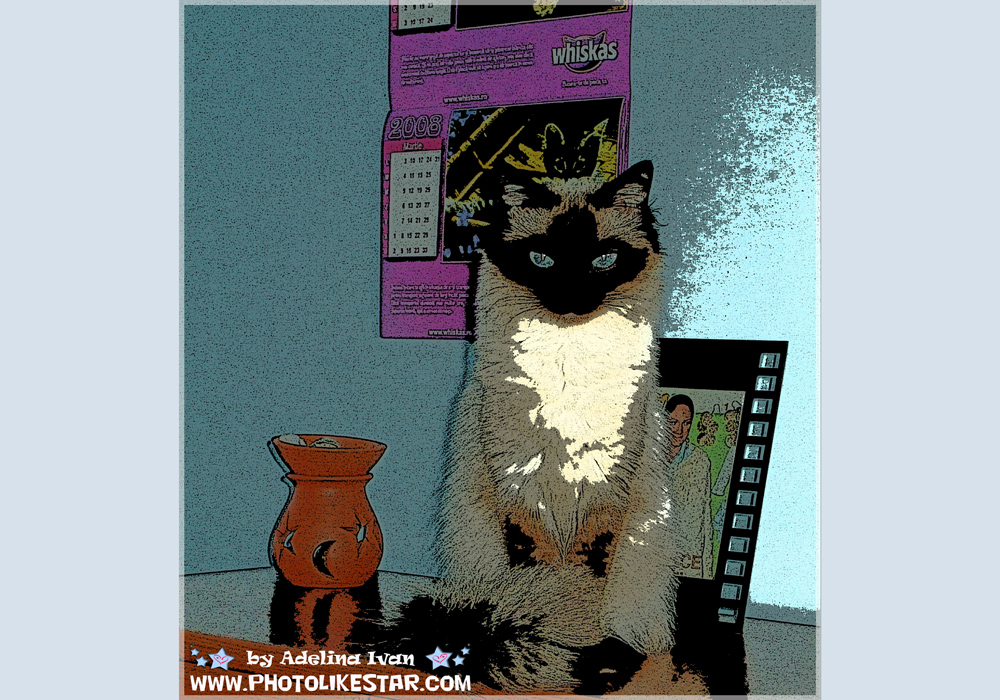 PET EFFECTS 2