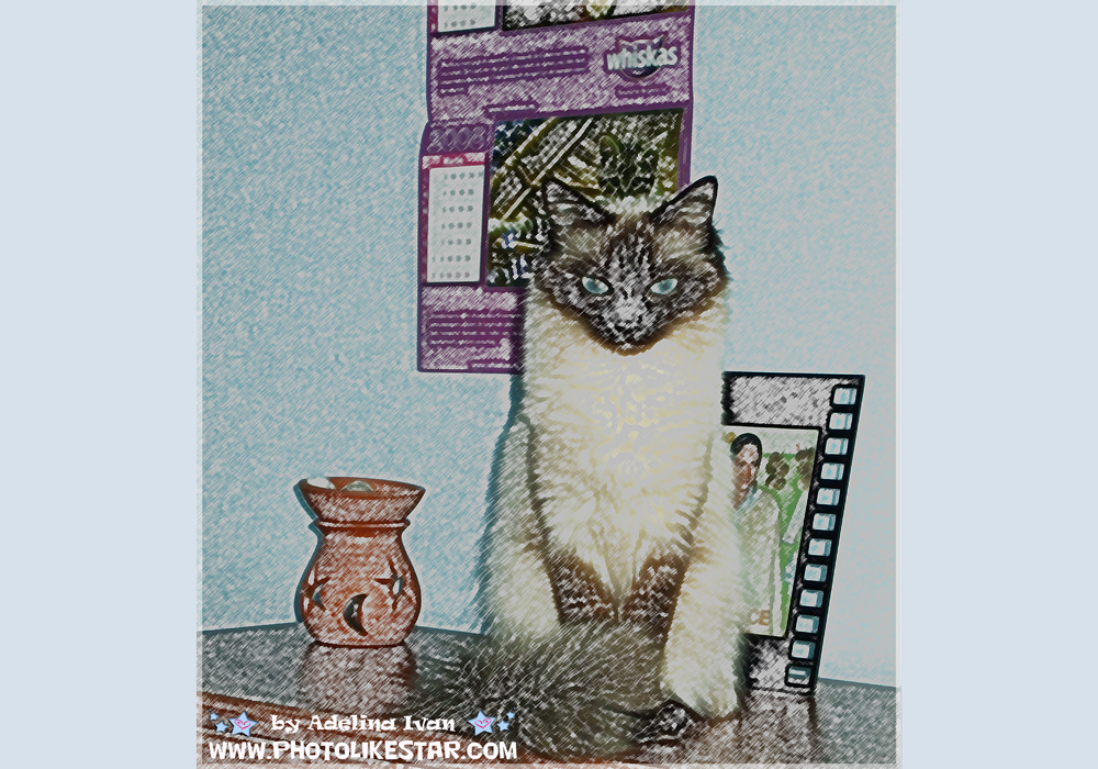 PET EFFECTS 3