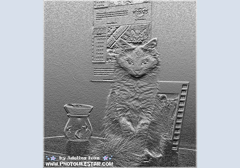 PET EFFECTS 4