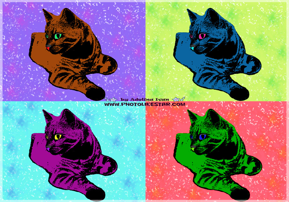 PET EFFECTS 8