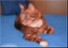 CHANGE YOUR PET 4