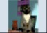 PET EFFECTS 2