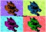 PET EFFECTS 8